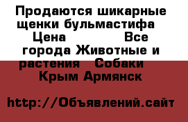 Продаются шикарные щенки бульмастифа › Цена ­ 45 000 - Все города Животные и растения » Собаки   . Крым,Армянск